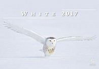 Kalendář nástěnný 2017 - White/Exclusive