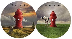 Signals / 40th Anniversary (Picture Vinyl) - LP