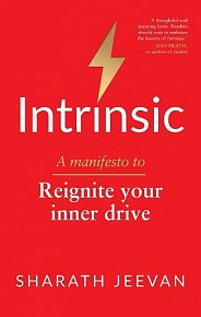 Intrinsic: A manifesto to reignite your inner drive