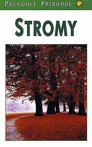 Stromy - Steinbach