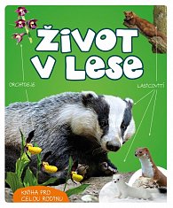 Život v lese