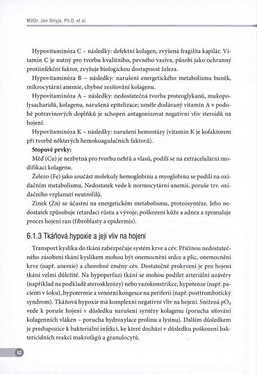 Náhled Repetitorium hojení ran 2