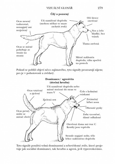 Náhled Co má pes na jazyku - Jak porozumět psí řeči