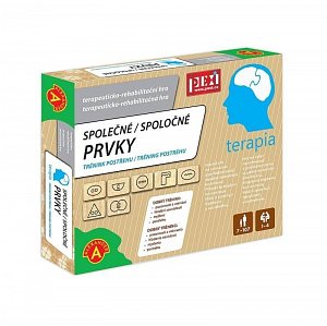 Terapia Společné prvky