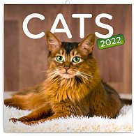 Kalendář 2022 poznámkový: Kočky, 30 × 30 cm