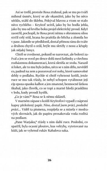 Náhled Chyba, 2.  vydání