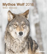 Kalendář Wild Wolves 2018 (30 x 34 cm)