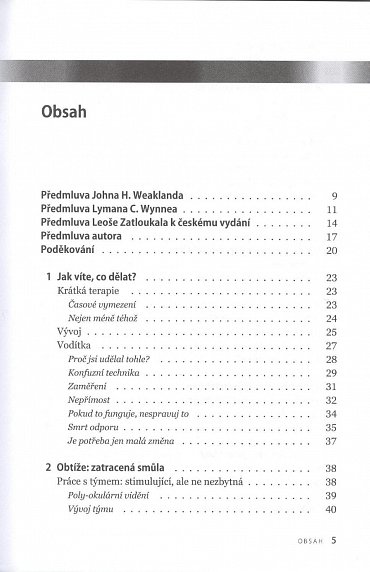 Náhled Klíče k řešení v krátké terapii