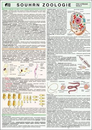 SOUHRN ZOOLOGIE pro SŠ A4