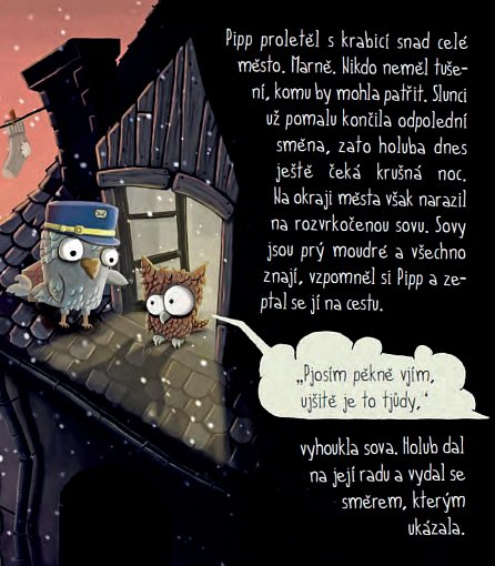 Náhled Medvěd Wrr - Po přečtení zavřít!, 1.  vydání