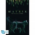 Matrix Plakát Maxi Kočka 91,5 x 61 cm