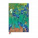 Van Gogh’s Irises / Van Gogh’s Irises / Grande / Sketchbooks