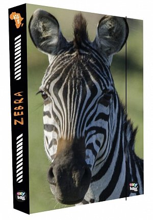 Oxy Box na sešity A4 Jumbo - Zebra