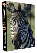 Oxy Box na sešity A4 Jumbo - Zebra