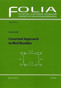 Covariant Approach to Weil Bundles