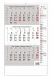 Kalendář nástěnný 2025 - Tříměsíční šedý s poznámkami