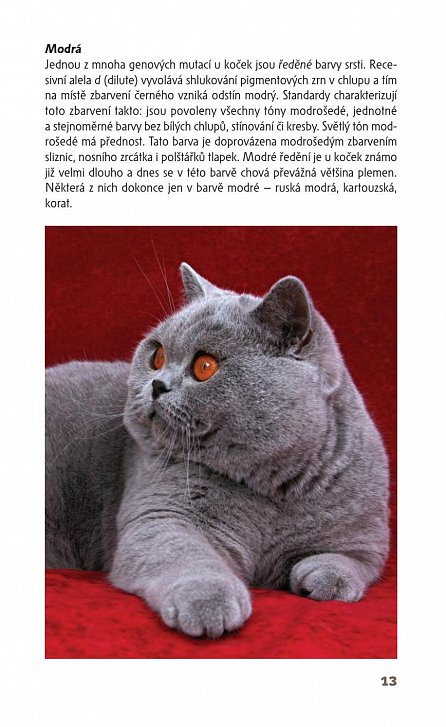 Náhled Kočky - příruční atlas