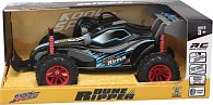 RC Auto Buggy 1:16, asst 2