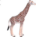 Žirafí samec figurka