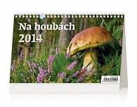 Kalendář 2014 - Na houbách - stolní