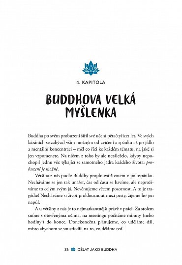 Náhled Dělat jako Buddha – Dosáhněte probuzení v práci díky Buddhově moudrosti