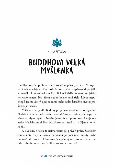 Náhled Dělat jako Buddha – Dosáhněte probuzení v práci díky Buddhově moudrosti