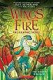 The Hidden Kingdom (Wings of Fire Graphic Novel 3)