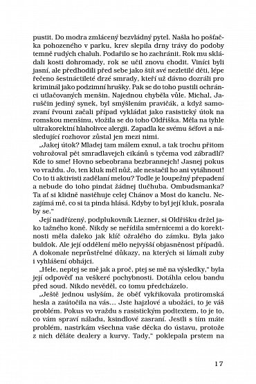 Náhled Déšť