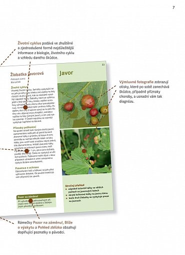 Náhled Škůdci a choroby rostlin – obrazový atlas