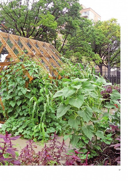 Náhled Permakultura - Zahradničení v souladu s přírodou; Funkční zahrada s minimální údržbou