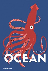 Ocean (Lift the Flap Book)