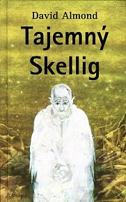 Tajemný Skellig