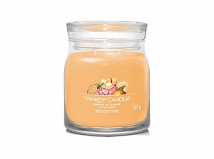 YANKEE CANDLE Mango Ice Cream svíčka 368g / 2 knoty (Signature střední)