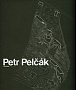 Petr Pelčák - Architekt