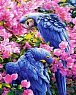 Sada pro křížkové vyšívání  - Modří papoušci 32 x 40 cm