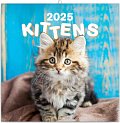 Kalendář 2025 poznámkový: Koťata, 30 × 30 cm