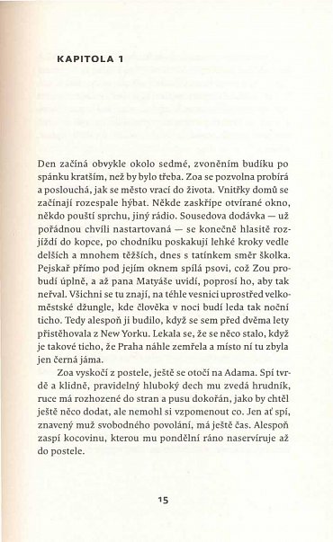 Náhled Dům s vypůjčeným výhledem