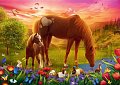 Puzzle Koně na louce/500 dílků