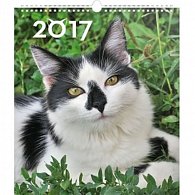 Kalendář nástěnný 2017 - Kočky - prodloužená verze