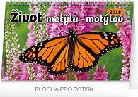 Kalendář stolní 2018 - Život motýlů – motýlov CZ/SK, 23,1 x 14,5 cm