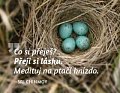 Magnet na lednici - Co si přeješ? Přeji si lásku. Medituj na ptačí hnízdo.
