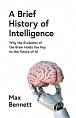 A Brief History of Intelligence: Why the Evolution of the Brain Holds the Key to the Future of AI