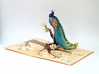 3D přání Peacock Glory
