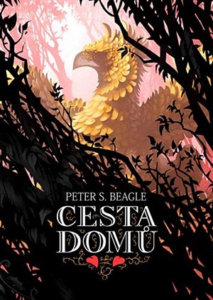 Cesta domů