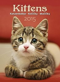Kalendář nástěnný 2015 - Kočičky