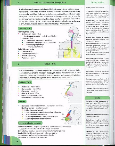 Náhled Memorix anatomie, 3.  vydání