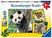 Ravensburger Puzzle - Panda, tygr a lev 3x49 dílků