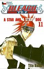 Bleach 11: A Star and a Stray Dog