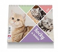Kočky a koťata - stolní kalendář 2019