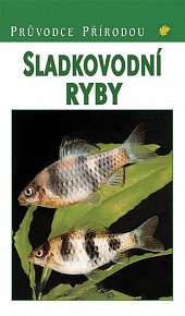 Sladkovodní ryby - Steinbach